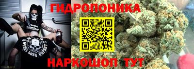 гашик Гатчина