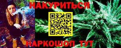 гашик Гатчина