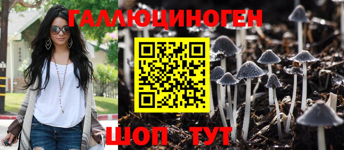 Кизляр  Псилоцибиновые грибы мухоморы  Вход с VPN  Псилоцибиновые грибы мицелий 