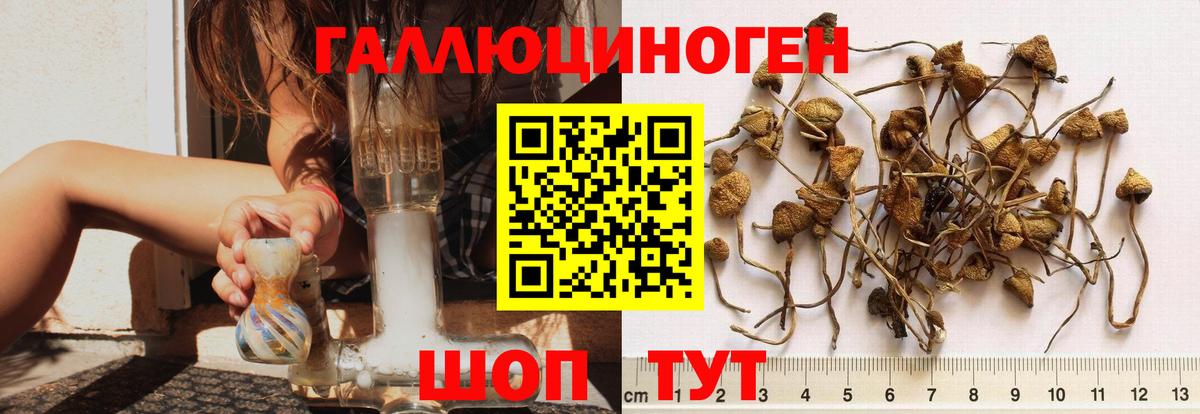 Галлюциногенные грибы мицелий Кизляр